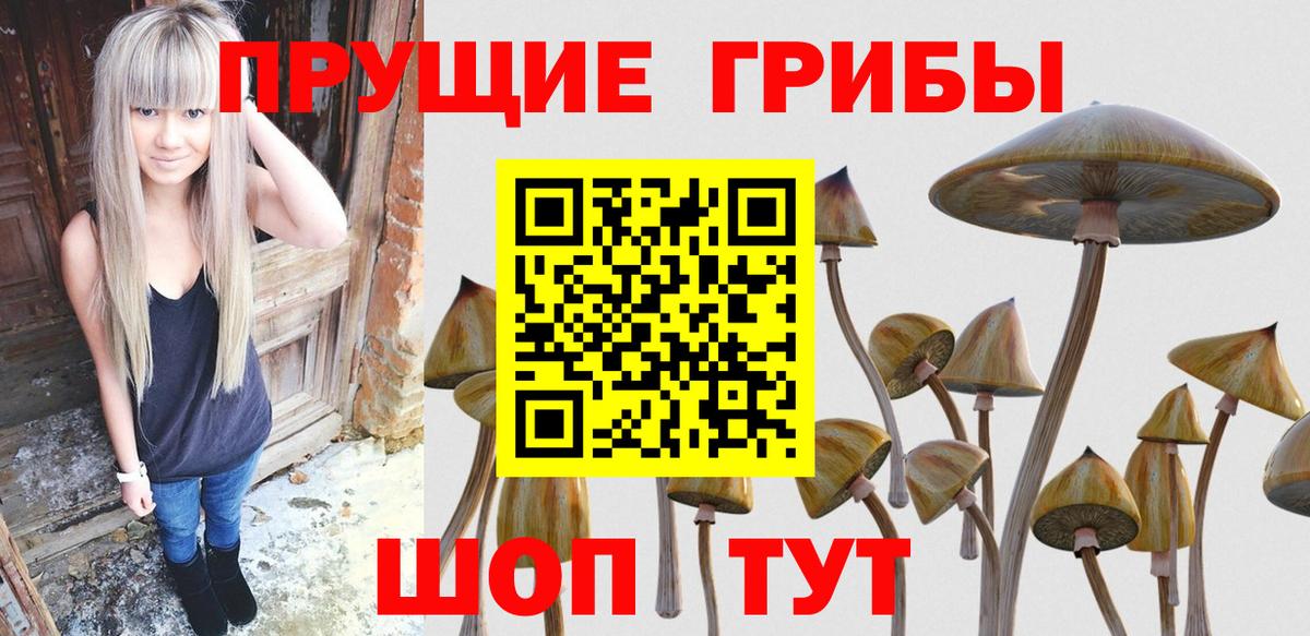 Галлюциногенные грибы Psilocybe  Вход с VPN  Сергиев Посад 